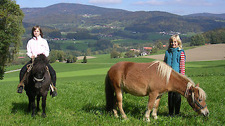 Kinder beim Ponyreiten im Bayerischen Wald